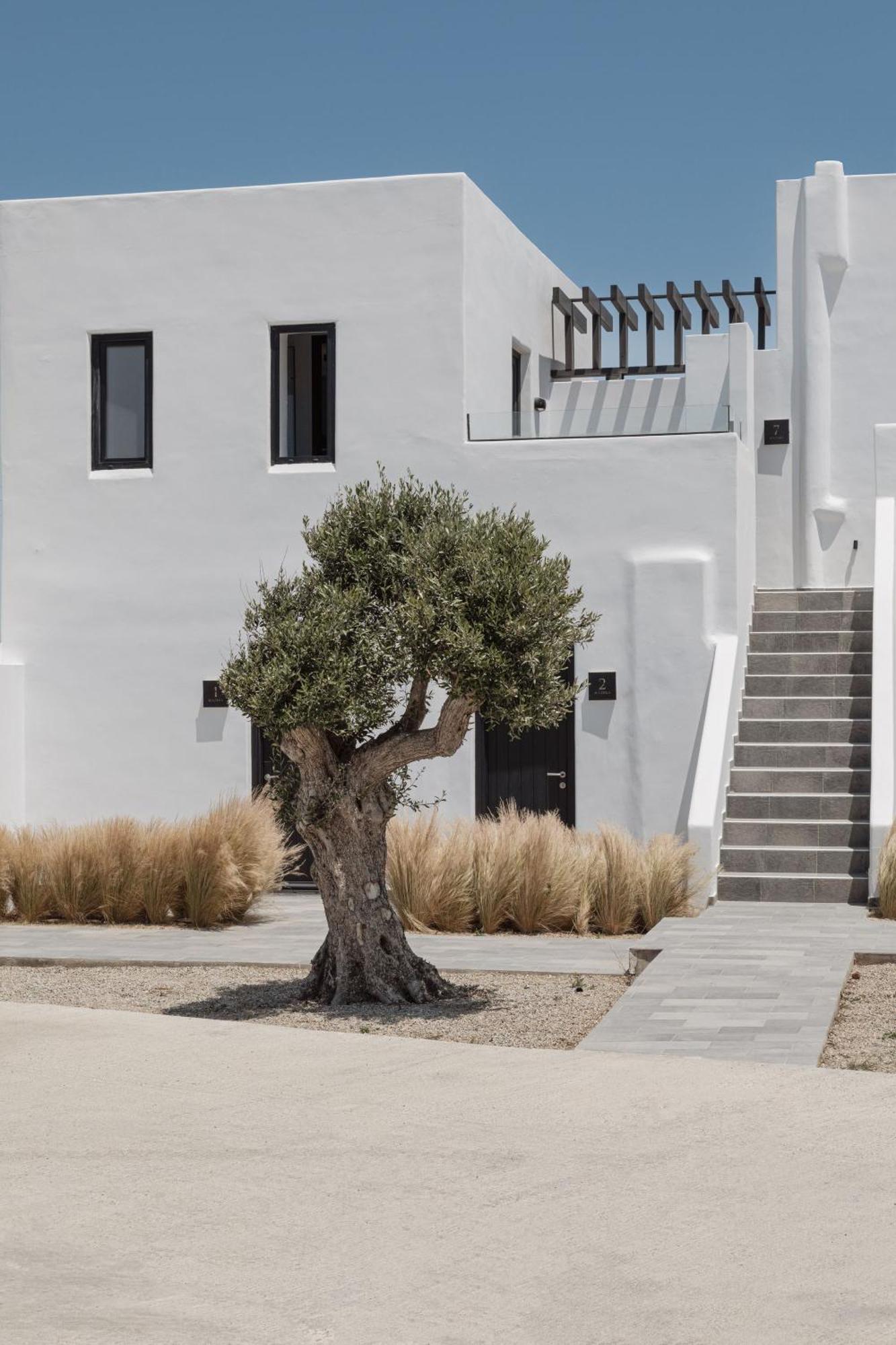Laguna Suites In Mazera Mykonos Mykonos Town ภายนอก รูปภาพ
